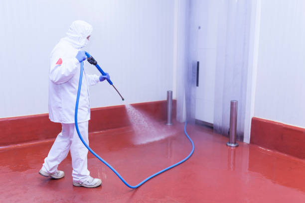 Professional Pressure Washing Services in Lovington, NM